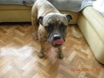 DSCN1609