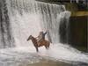 photo[7]