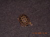 DSCN7648.JPG