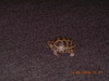 DSCN7650.JPG