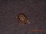 DSCN7648.JPG