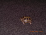 DSCN7650.JPG