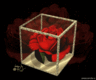 a3a7ca9b4095