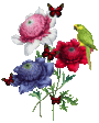 355c57e494b1