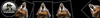 600x110_2015_01