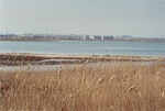 Бердянск_1
