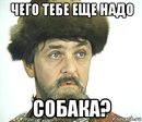 ivan-vasilevich_137988114_orig_