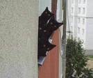 сЭстра не танцуЭт :)