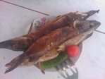 Щуки с коптильни