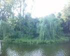 090809_190232