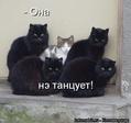 news_txtd
