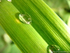 DSC01491