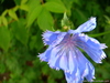 DSC01498