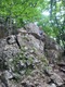 DSC01939