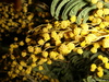 DSC00004