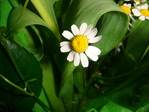 DSC00051
