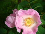 DSC01483