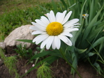 DSC01488