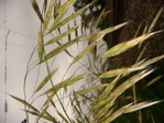 DSC01509