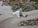 IMG_0095.JPG
