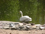 IMG_0079.JPG