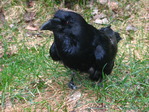 IMG_0089.JPG