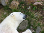 IMG_0105.JPG