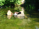 IMG_0258.JPG