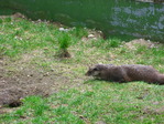 IMG_0035.JPG