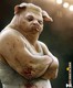fun_pics02