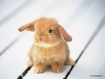 :)