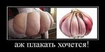 x_4132e894