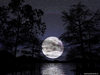 darkmoon