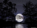 darkmoon