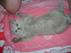 Здаёмсуууууу.... :)))) нам 1,5 месяца....