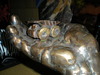 DSCN2103