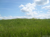 SL275522.JPG