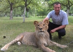 Котенок Гав