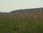 PICT1321_измен.размер.JPG