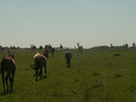 PICT1310_измен.размер.JPG