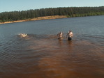PICT1314_измен.размер.JPG