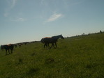 PICT1302_измен.размер.JPG