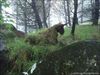 posmotrite_dvajdi_21