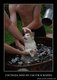 kartinki_s_podpisjami_134_foto_62