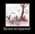 белки истерички