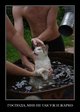 kartinki_s_podpisjami_134_foto_62