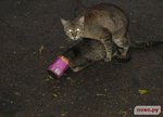 вовремяобеденный секс)