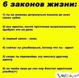x_66d80ccd.jpg