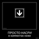 prosto-nasri