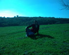 DSC00016.JPG